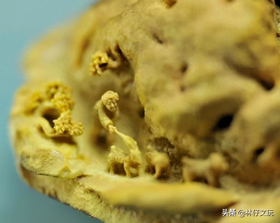 中国式雕刻艺术:核雕的独特之处